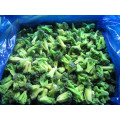 Nuevo cultivo IQF Frozen Broccoli Vegetales orgánicos Vegetales congelados